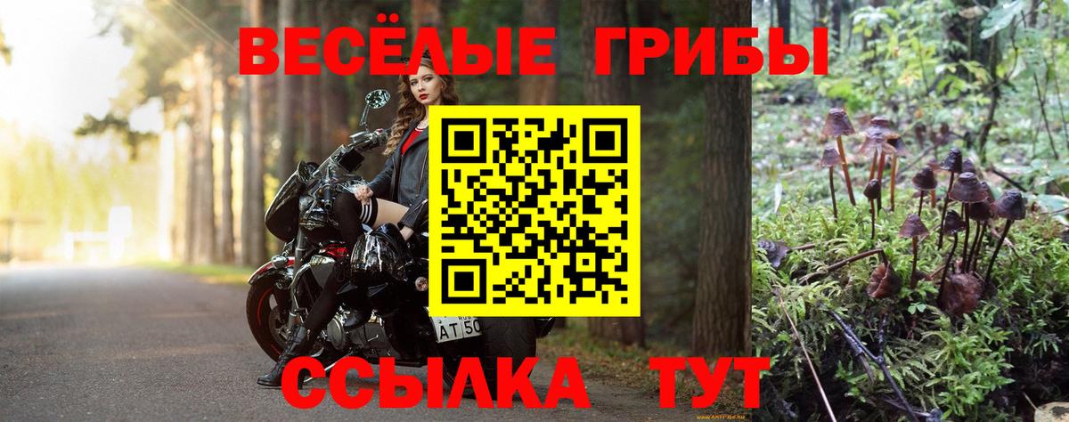 Галлюциногенные грибы Cubensis  Вход с VPN  Галлюциногенные грибы Psilocybine cubensis  Зеленогорск 