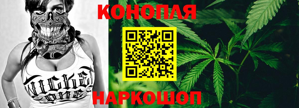 Конопля план Зеленогорск